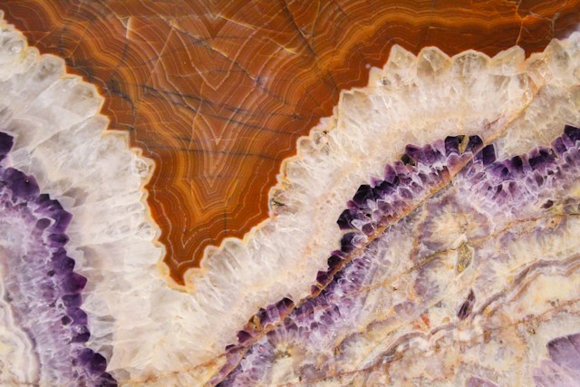 Foto de Savannah Wakefield na Unsplash