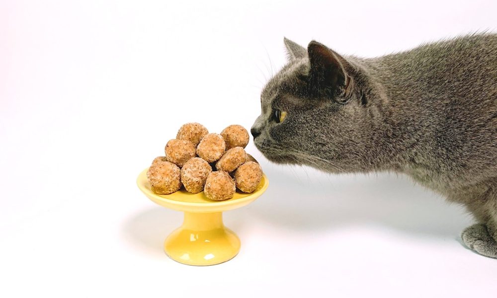 Anastasiia Rozumna na Unsplash