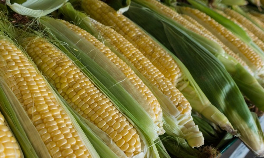 Andre Ouellet on Unsplash