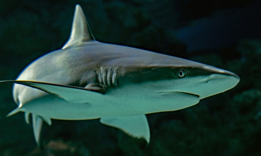 David Clode_Unsplash