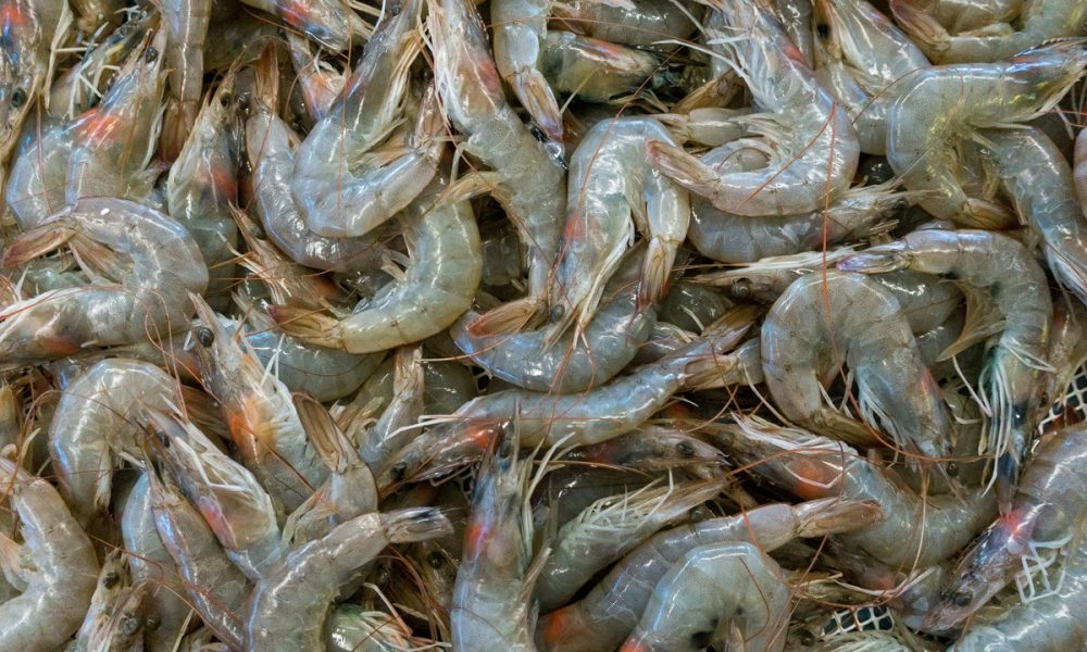 Etienne Girardet na Unsplash