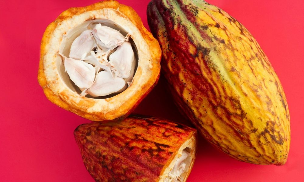 Julia Cruz on Unsplash