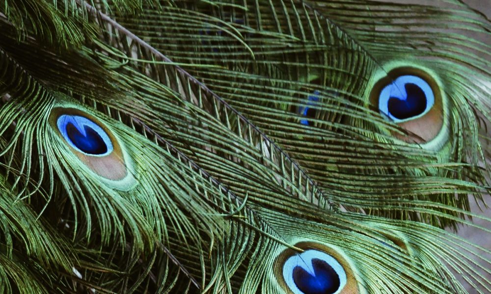 Maurits Bausenhart na Unsplash