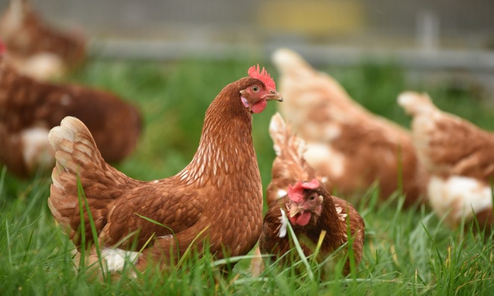 Thomas Iversen na Unsplash