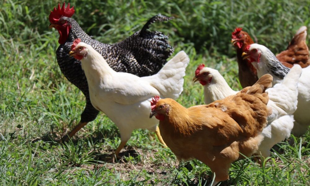 Zachariah Smith_Unsplash